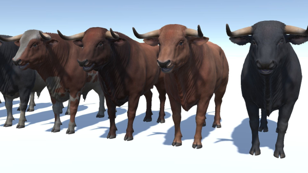 Bull realistic