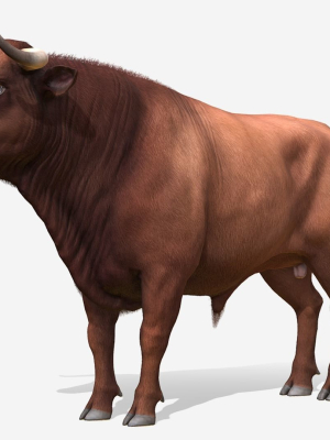 Bull realistic
