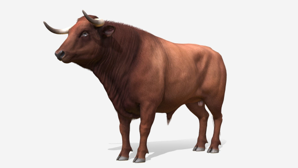 Bull realistic