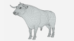Bull realistic