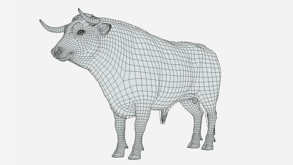 Bull realistic