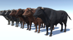 Bull realistic