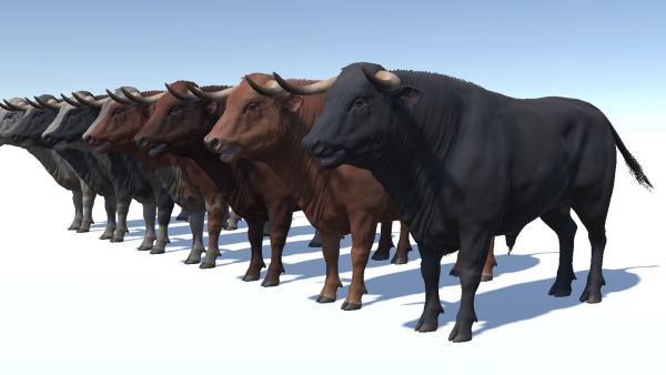 Bull realistic