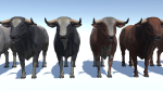 Bull realistic