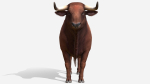 Bull realistic