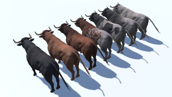 Bull realistic