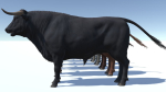 Bull realistic