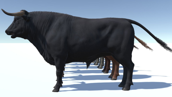 Bull realistic