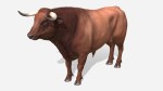 Bull realistic
