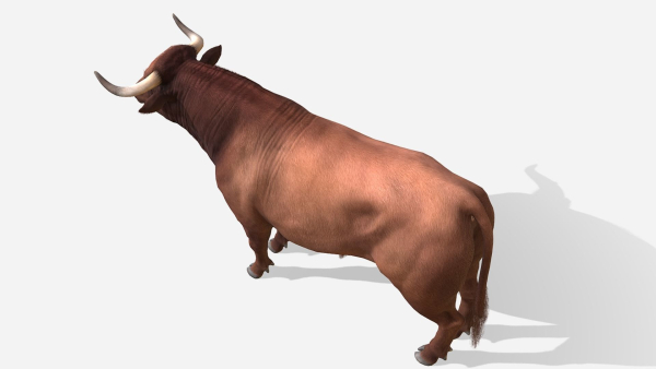 Bull realistic