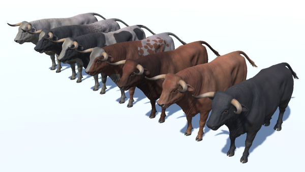 Bull realistic