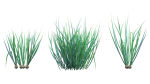 Bundle 37 - Vegetable plant