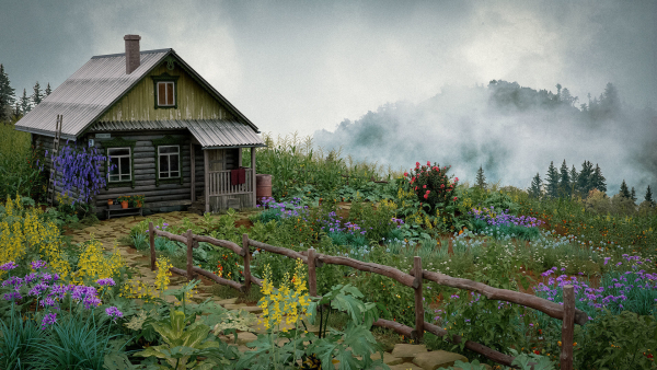 Bundle 37 - Vegetable plant