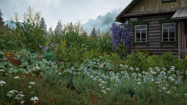 Bundle 37 - Vegetable plant