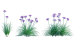 Bundle 37 - Vegetable plant