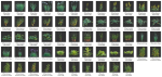 Bundle 37 - Vegetable plant