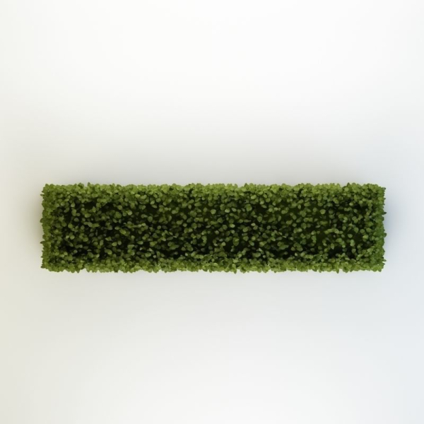 Bush 04