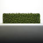 Bush 04
