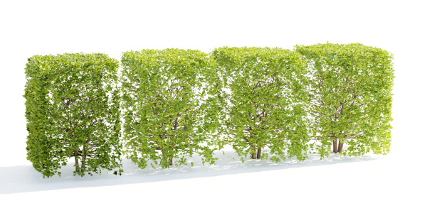 bush collection vol 38-Blender
