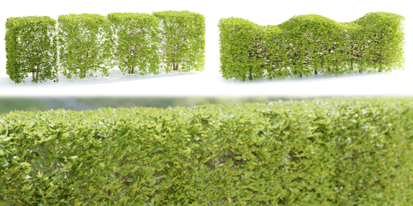 bush collection vol 38-Blender