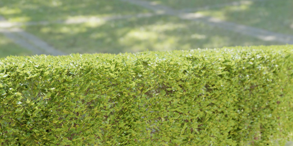 bush collection vol 38-Blender