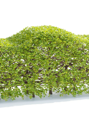 bush-collection-vol-38-blender-3d-model-ab125ada13
