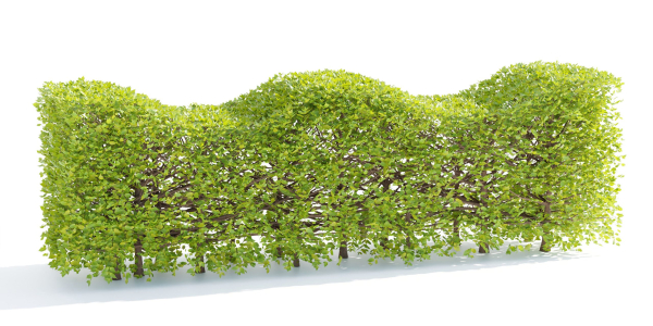 bush collection vol 38-Blender