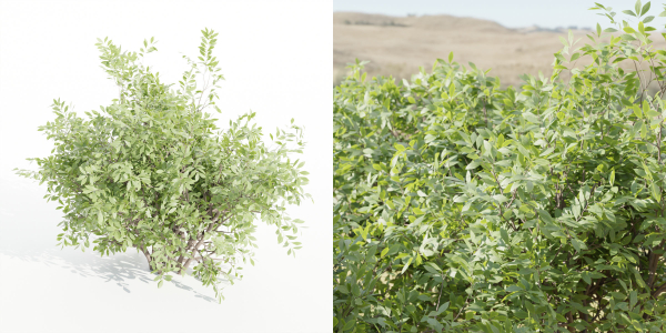 bushes 4 collection vol 110-Blender