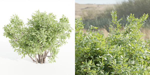 bushes 4 collection vol 110-Blender