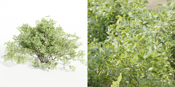 bushes 4 collection vol 110-Blender