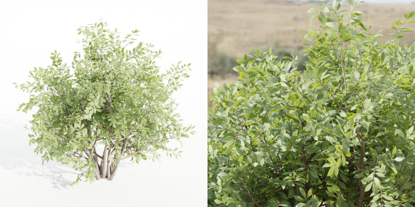 bushes 4 collection vol 110-Blender