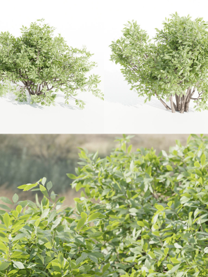 bushes 4 collection vol 110-Blender