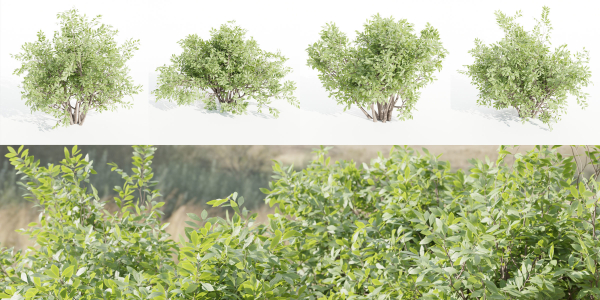bushes 4 collection vol 110-Blender