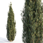 Bushes and Hedges Collection