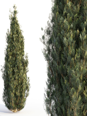 bushes-and-hedges-collection-3d-model-0e7189bfde