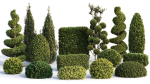 Bushes and Hedges Collection