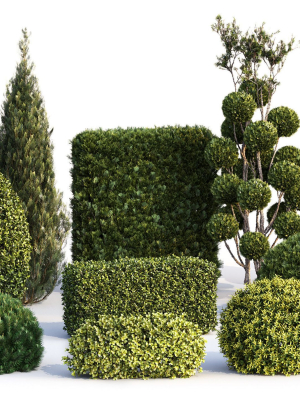 Bushes and Hedges Collection
