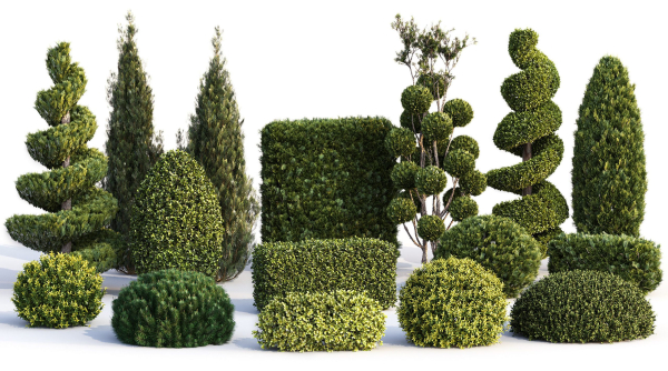 Bushes and Hedges Collection