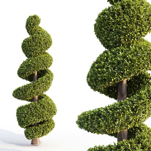 Bushes and Hedges Collection