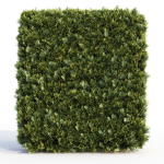 Bushes and Hedges Collection