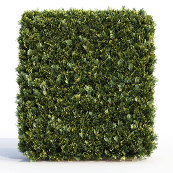 Bushes and Hedges Collection