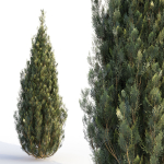 Bushes and Hedges Collection