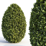 Bushes and Hedges Collection