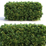 Bushes and Hedges Collection