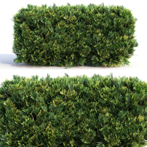 Bushes and Hedges Collection