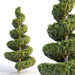 Bushes and Hedges Collection