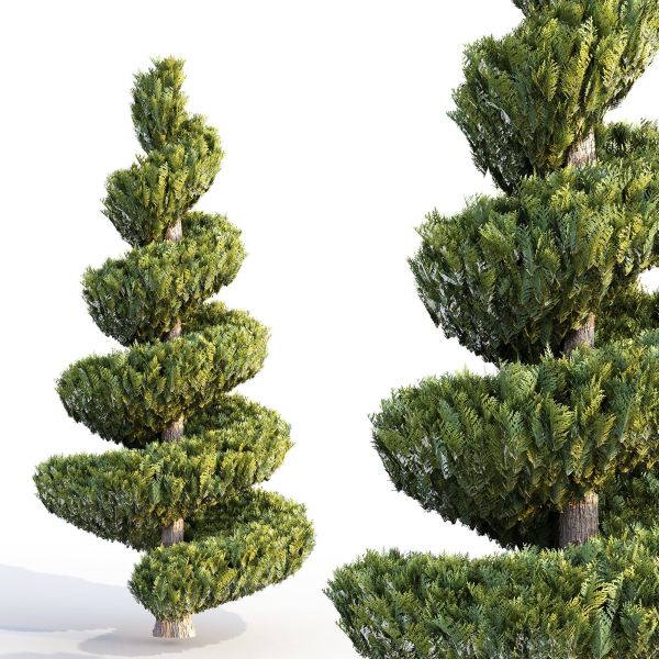 Bushes and Hedges Collection