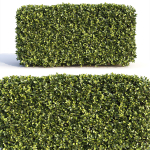 Bushes and Hedges Collection