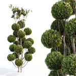 Bushes and Hedges Collection