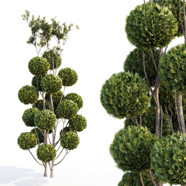 Bushes and Hedges Collection